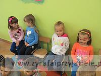IMG 20130603 101201