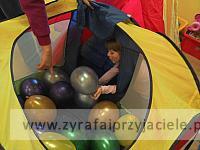 IMG 20130603 111210