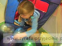 IMG 20130603 111403