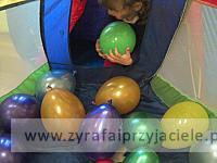 IMG 20130603 111507