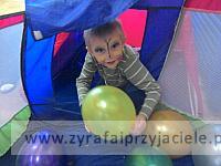 IMG 20130603 111625