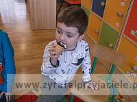 DSCF4241