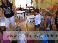 DSCF6270