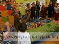 DSCF6274