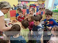 IMG 20190515 093504