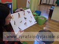 DSCF4256