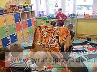 DSCF4423