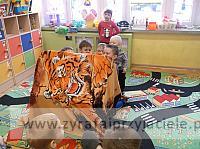 DSCF4428