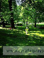 IMG 20190508 093342
