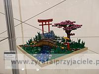 DSCF3005