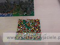 DSCF3035