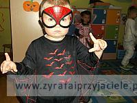 DSCF0347