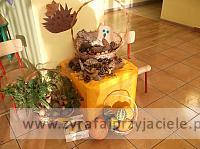 DSCF8842