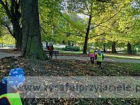 IMG 20191011 102921