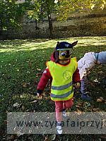 IMG 20191011 102956