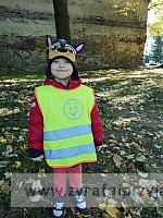 IMG 20191011 103031