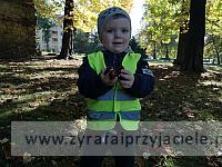 IMG 20191011 103048