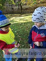 IMG 20191011 103125