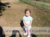 DSCF5118