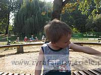 DSCF5137