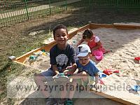 DSCF5153