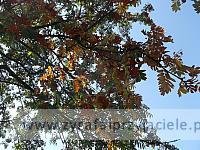 DSCF5173