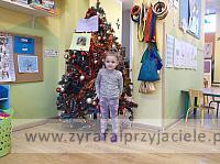 Konkurs kolęd
