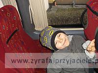 DSCF9502