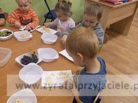 DSCF9101