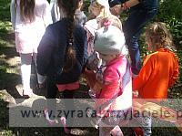 DSCF1028