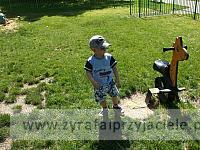 DSCF3367