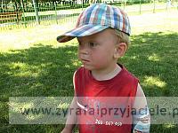 DSCF3369