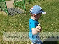 DSCF3379