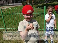 DSCF3389