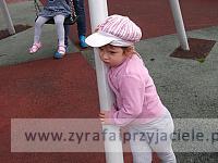 DSCF3480