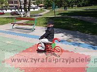 DSCF2934