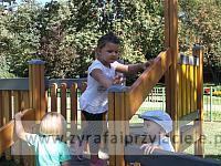 DSCF5330