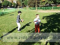DSCF5331