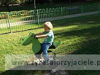 DSCF5332