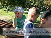 DSCF5334