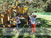 DSCF5337