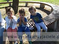 DSCF5344
