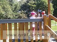 DSCF1075