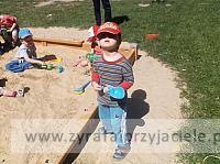 DSCF1082