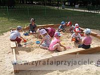 DSCF1347