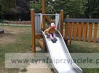DSCF1354