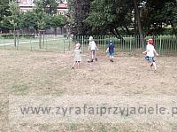 DSCF1356