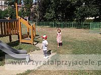 DSCF1373