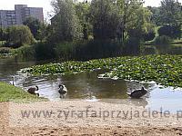 DSCF8287