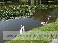 DSCF8292